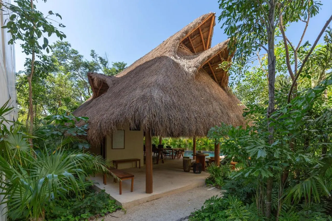 Elegant And Tropical Apartment In Private Gated Community In Aldea Zama Tulum Mexico